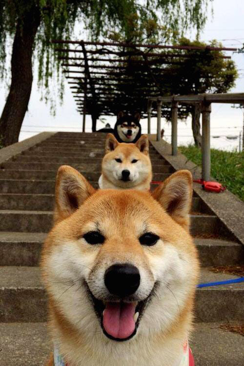 中国足球国家队积极参与国际足球交流活动，中国国足足协部门