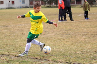 九游jiuyou-五大联赛观众情绪波动与主队表现高度相关，五大联赛 观众