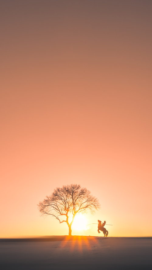 体育新闻中心整合运动视频数据内容分析功能,体育新闻短视频